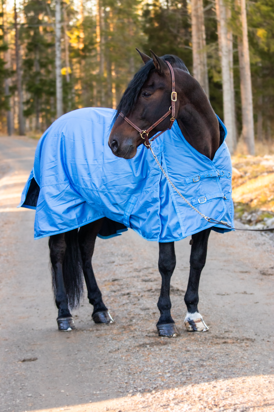 nisch regntäcke 200g
