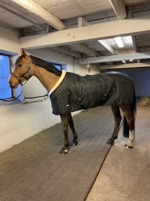 nisch stalltäcke velvet häst svart